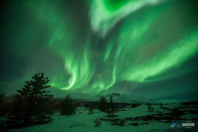 Tromsø: Small Group Northern Lights Hunt - Key Points