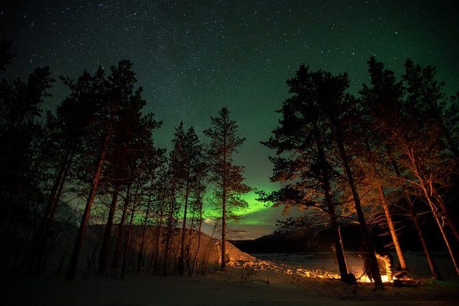 Tromsø: Small Group Northern Lights Hunt - Price & Value Consideration