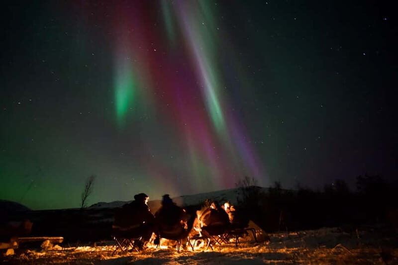 Tromsø: Small-Group Northern Lights Tour by Minibus - Key Points  