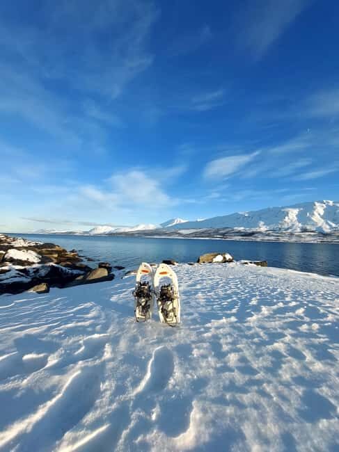 Tromsø: Snowshoe Hike to Lyngstuva Lighthouse with Lunch - Key Points