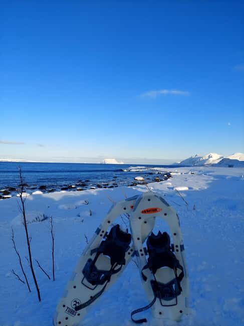 Tromsø: Snowshoe Hike to Lyngstuva Lighthouse with Lunch - Who Is This Tour Best For?