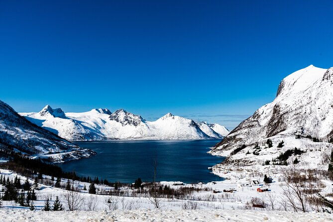 tromso-snowshoeing-excursion-to-viewpoint