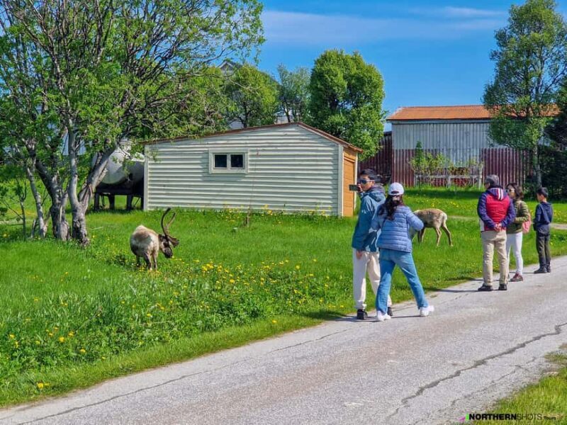 Tromsø: Sommaroy Fjord Tour with Lunch Option - Frequently Asked Questions
