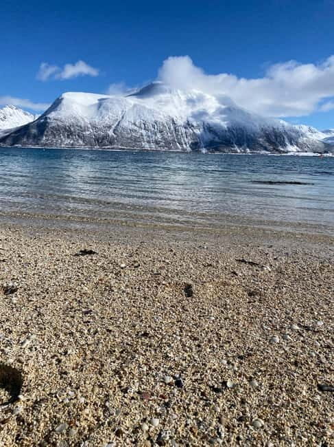 Tromsø: Sommarøy Islands, Kvaløya and Fjords Tour with lunch - FAQ