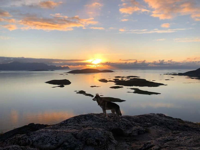 Tromsø: Sommarøy Islands Midnight Sun Tour - What Makes It Worth the Price?
