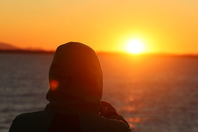 tromso-sommaroy-private-coastal-tour-with-a-local