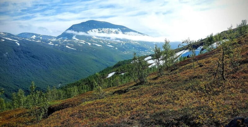 Tromsø Street to Summit: Fløya Mountain Guided Hike - Who Will Love This Tour?  