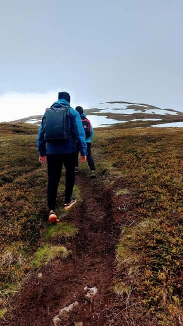 Tromsø Street to Summit: Fløya Mountain Guided Hike - FAQ