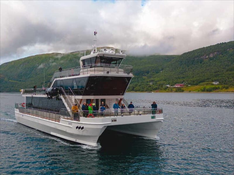 Tromsø: Summer Arctic Light Cruise with a Guide - Practical Details & Tips