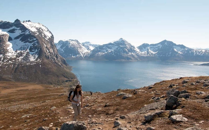 Tromsø: Summer Day Hike in the wilderness - Practical Details: What You Need to Know