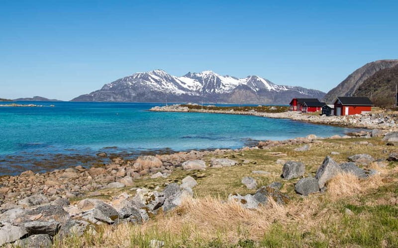 Tromsø: Summer Fjord Road Trip with Citizen Science - Who Would Love This Tour?