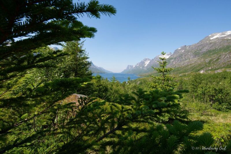 Tromsø: Summer Fjord Road Trip with Citizen Science - Frequently Asked Questions (FAQs)