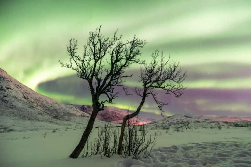 Tromso: The Ultimate Northern Lights Chase - What Makes This Tour Stand Out?
