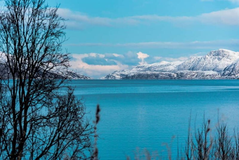 Tromso: Visit 5 Fjords in 4 hours - Key Points
