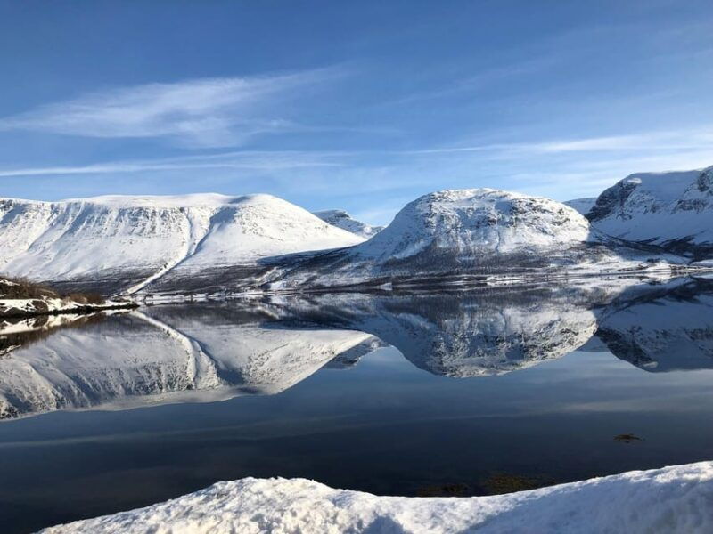 tromso-whale-safari-with-ms-gabriele