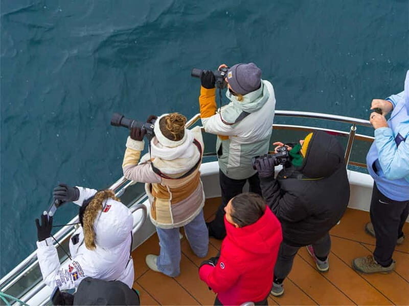 Tromsø: Whale Watching on hybrid boat with scenic bustrip - Key Points