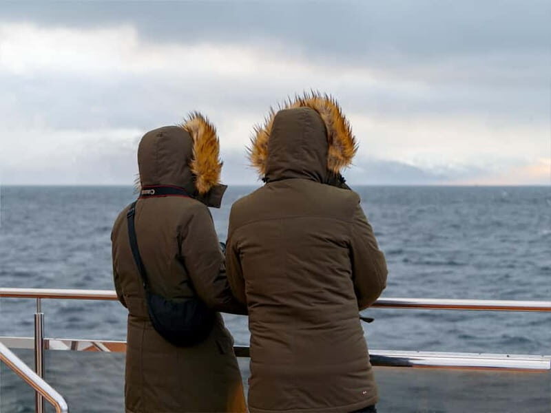 Tromsø: Whale Watching on hybrid boat with scenic bustrip - The Marine Wildlife: What You Might See
