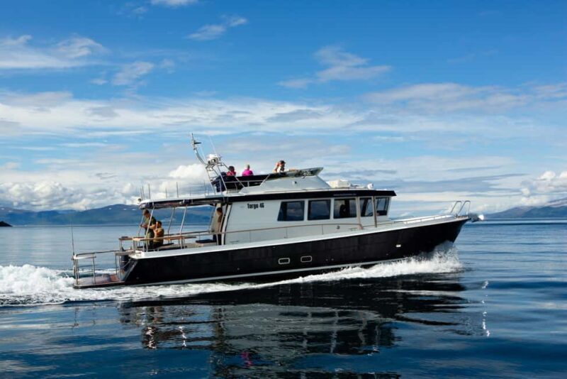 Tromsø: Whale Watching VIP Boat Tour with Lunch - Practical Details: How to Make the Most of It
