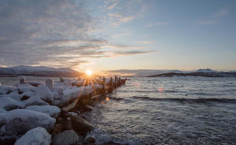 Tromsø: Winter Fjord Road Trip - Wildlife Spotting and Nature Connection