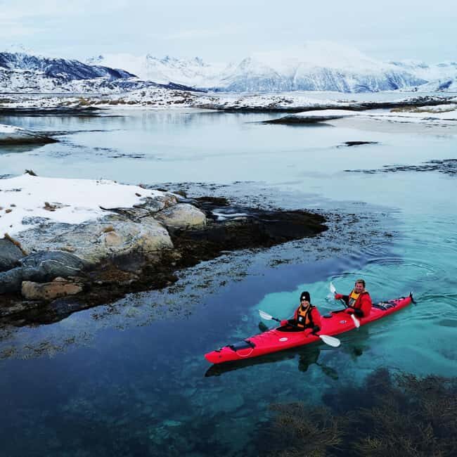 Tromsø: Winter Sea Kayaking Tour with Wildlife Sightings - Who Will Love This Experience?