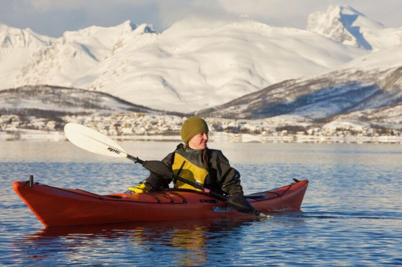tromso-winter-sea-kayaking-tour-with-wildlife-sightings