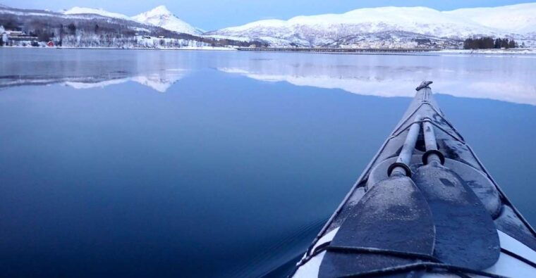 tromso-winter-sea-kayaking-tour-with-wildlife-sightings