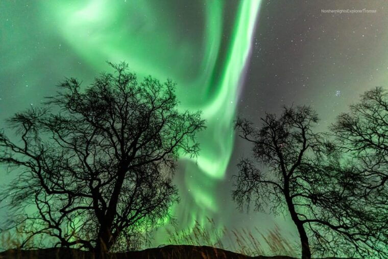tromsonorthern-lights-tour-with-photo-and-suits-local-guide