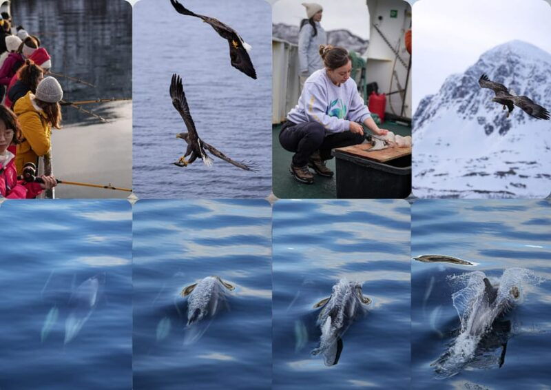 tromsos-top-rated-fjord-fishing-cruise-all-inclusive