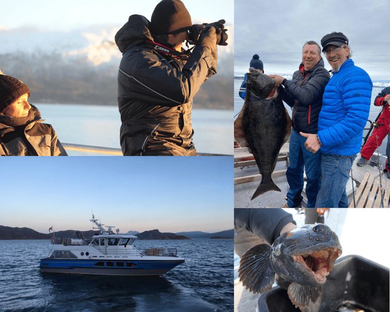 tromsos-top-rated-fjord-fishing-cruise-all-inclusive
