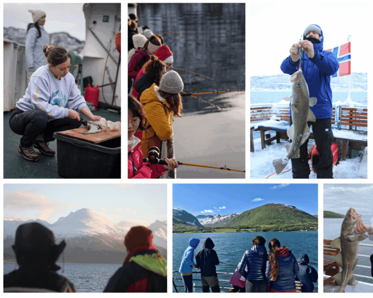 tromsos-top-rated-fjord-fishing-cruise-all-inclusive