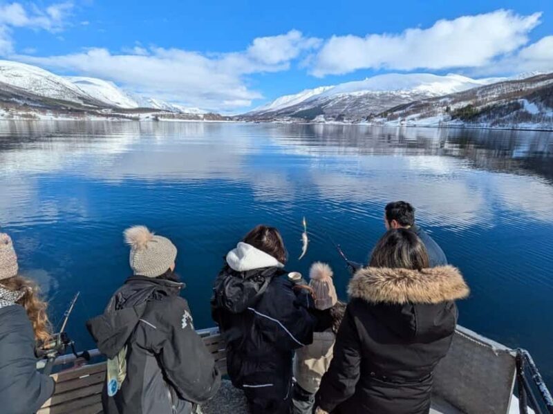 Tromsøs Top-Rated Fjord & Fishing Cruise  Lunch included - An In-Depth Look at the Fjord & Fishing Cruise