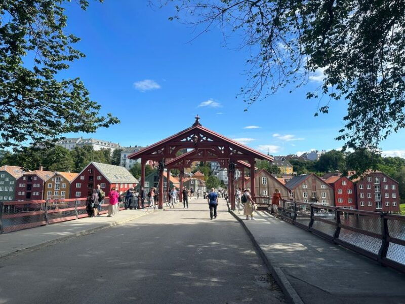 trondheim-city-bus-tour