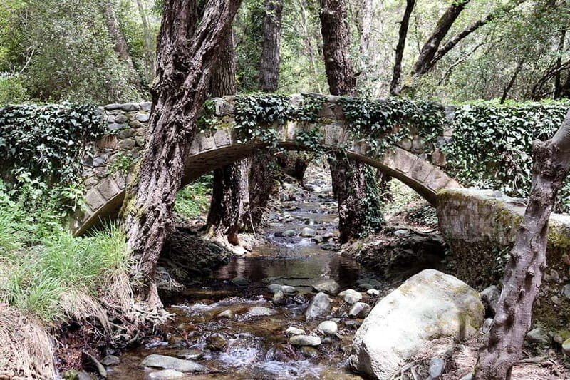 Troodos Mountains : private tour including a wine tasting - Final Thoughts