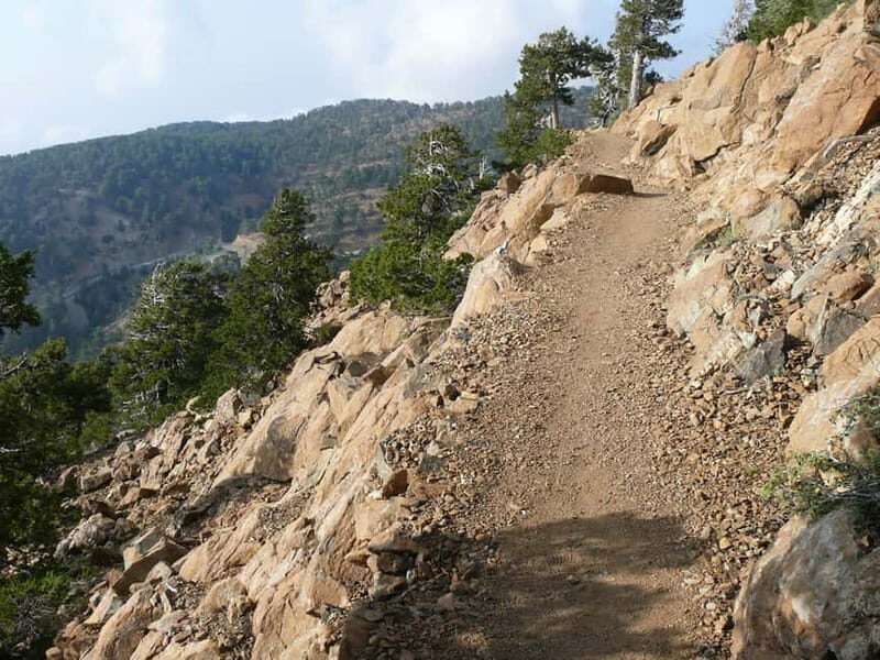 Troodos walking trip - An In-Depth Look at the Troodos Walking Trip