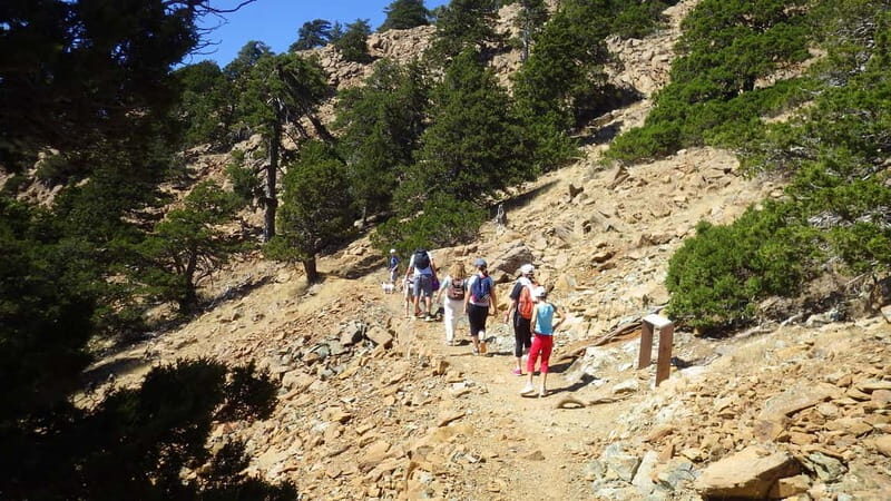 Troodos walking trip - Final Thoughts: Is It Worth It?