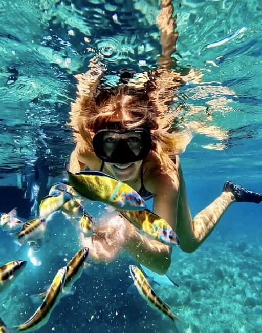 Tropea: Boat Tour on the Coast of the Gods - maximum 12 people on board - Who Will Love This Tour?