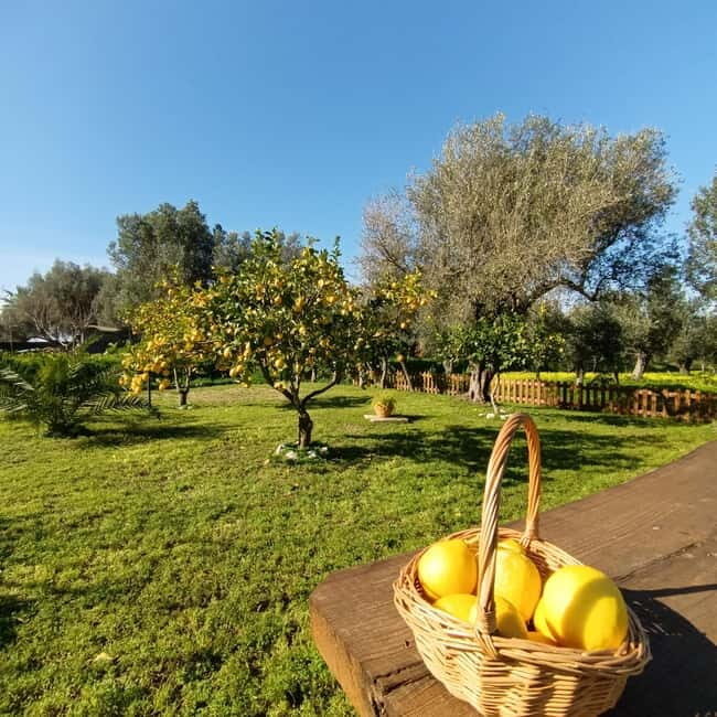 Tropea: Lemon Experience with Limoncello Making - The Itinerary in Detail