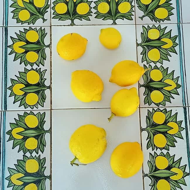 Tropea: Lemon Experience with Limoncello Making - Practical Tips for Participants