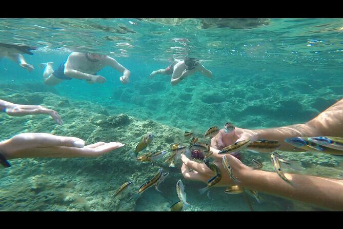 Tropea private boat tour - Authentic Traveler Insights