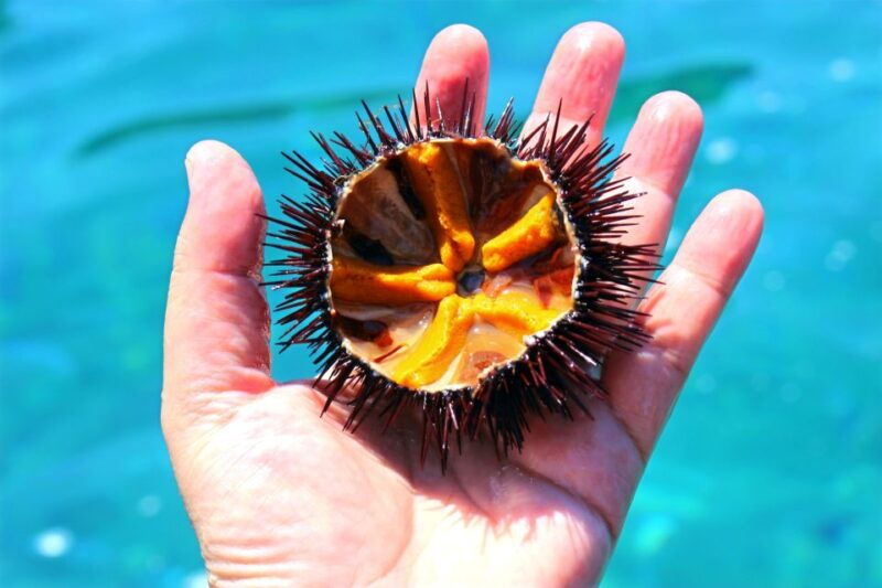 tropea-sirens-rock-snorkeling-cruise-with-aperitif