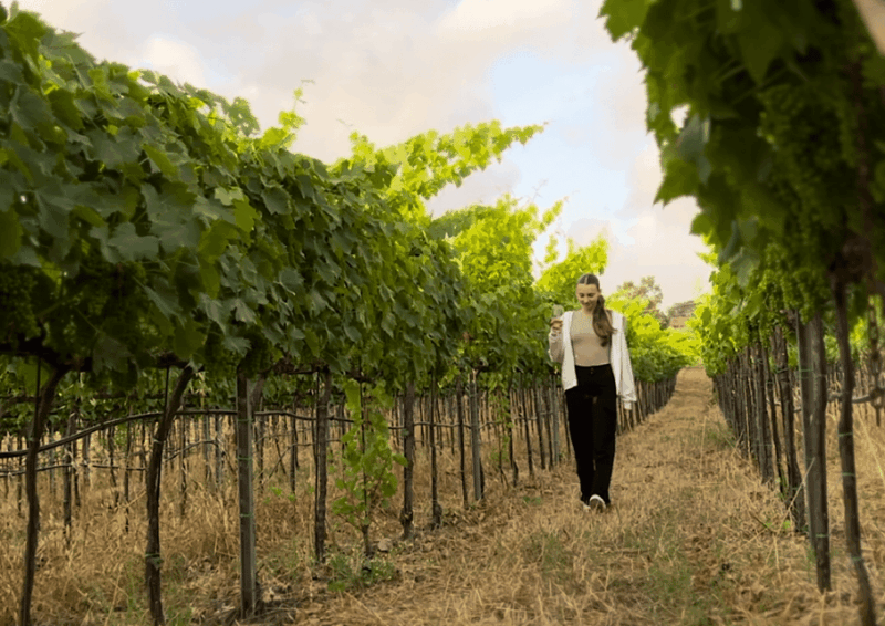 tropea-wine-and-food-tasting
