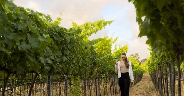 tropea-wine-and-food-tasting