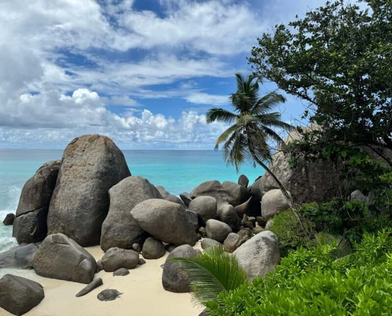 Tropical Beach Adventure Tour - An In-Depth Look at the Tropical Beach Adventure Tour