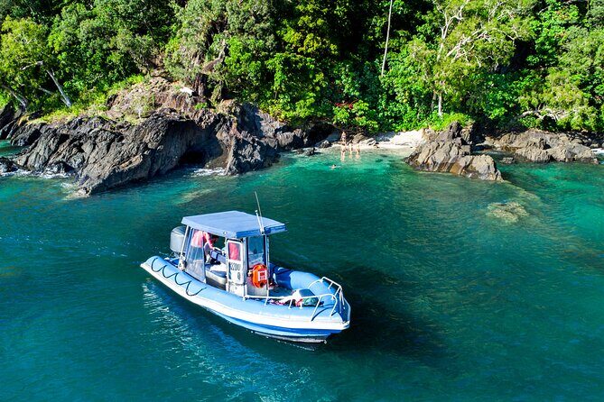 Tropical Dunk Island Half Day Activity from Mission Beach - Key Points