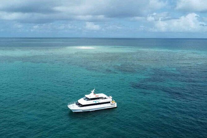 Tropical Dunk Island Half Day Activity from Mission Beach - What You Can Expect in Detail