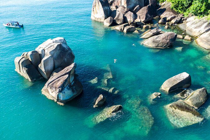 Tropical Dunk Island Half Day Activity from Mission Beach - Who Would Love This Tour?