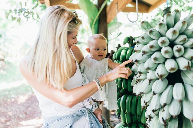 Tropical Fruit World Farm Full Tour - The Itinerary Breakdown