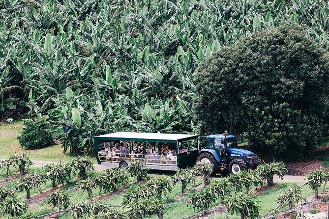 Tropical Fruit World Farm Full Tour - What Visitors Love Most