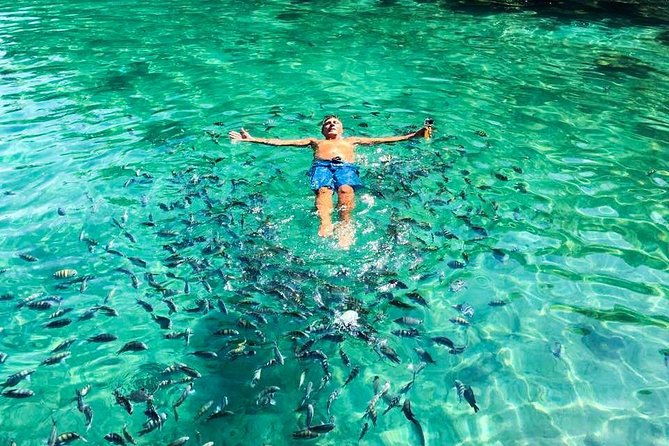 tropical-paradise-ilha-grande-on-a-private-fastboat-tour