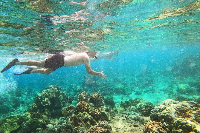 tropical-reef-wildlife-boat-snorkel-adventure